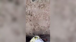 Mady Gio POV Doggystyle Beach PPV Video Leaked